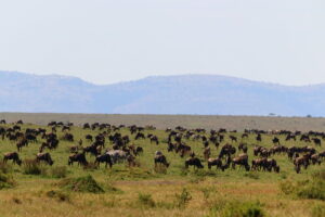 trek-kenia