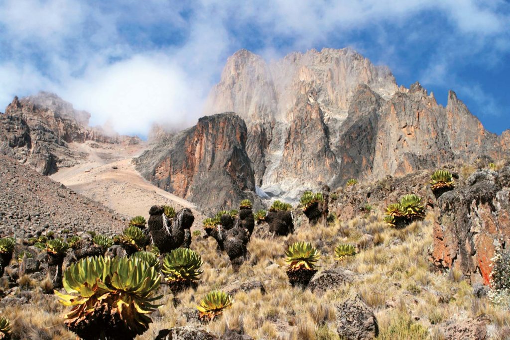 Mount Kenya National Park - AV Tours NL