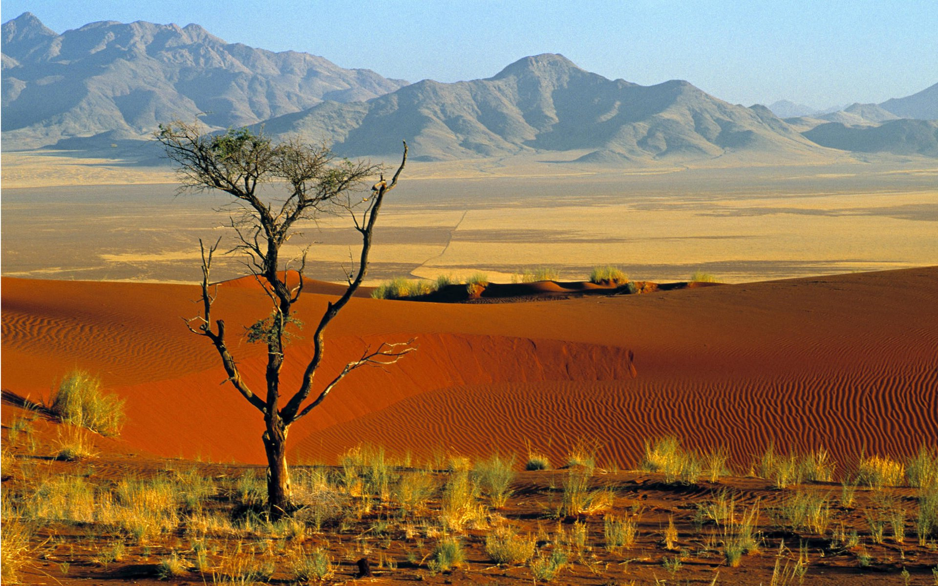 NamibRand Nature Reserve met AV Tours