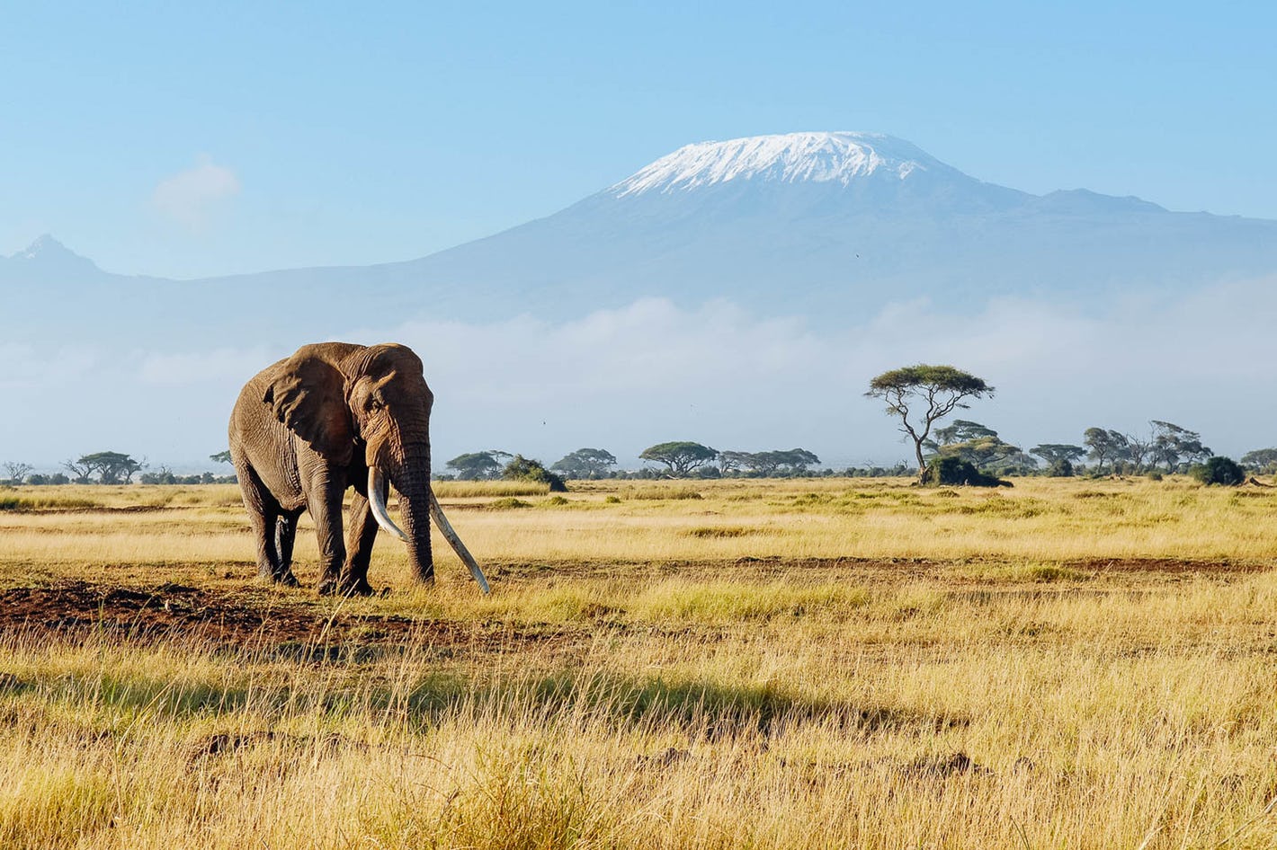 Amboseli Kenia rondreis Kenia