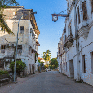 Wat te doen in Tanzania? 