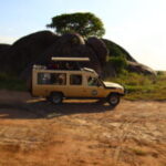 luxe safari