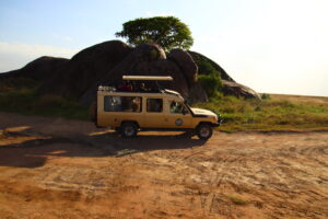 luxe safari